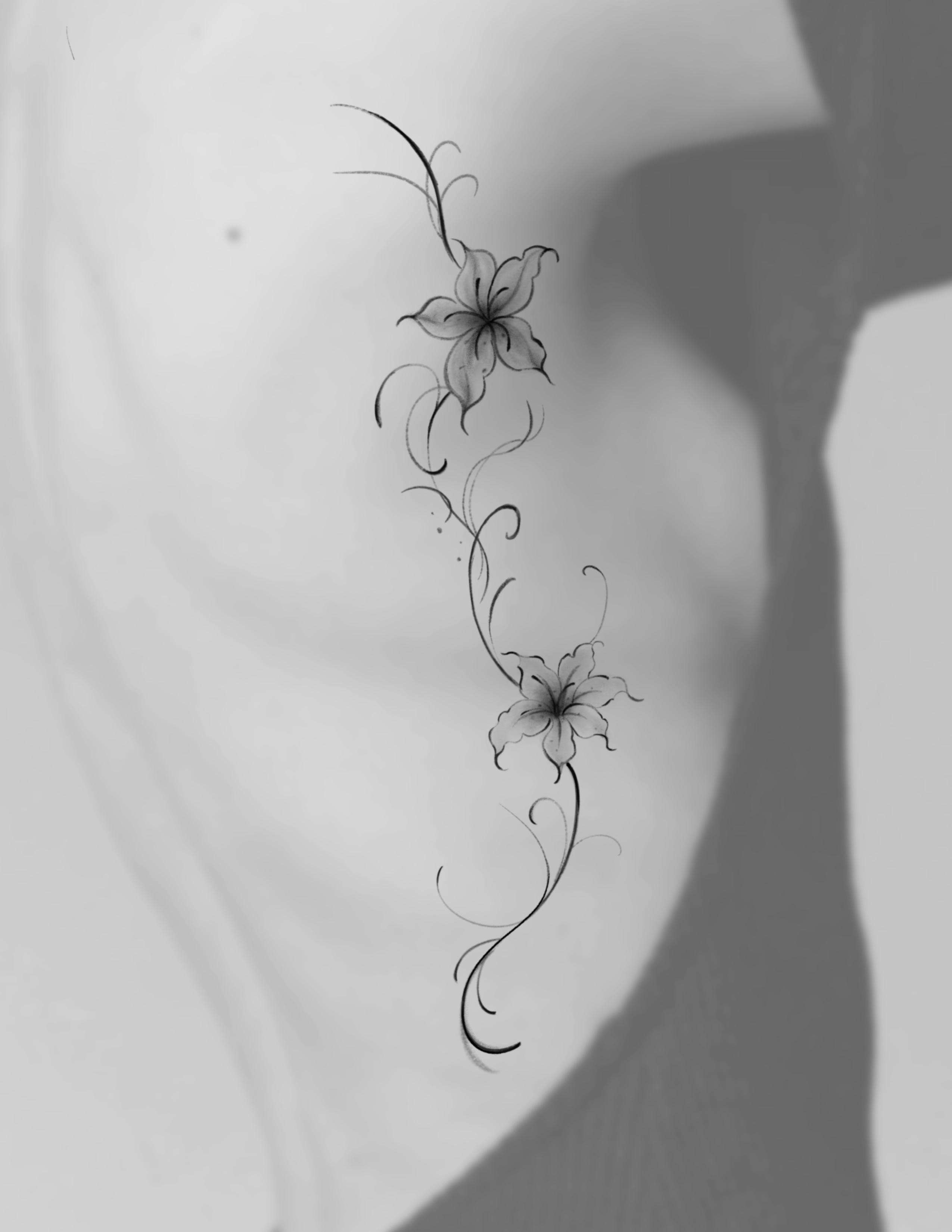 Abstract Lily flower