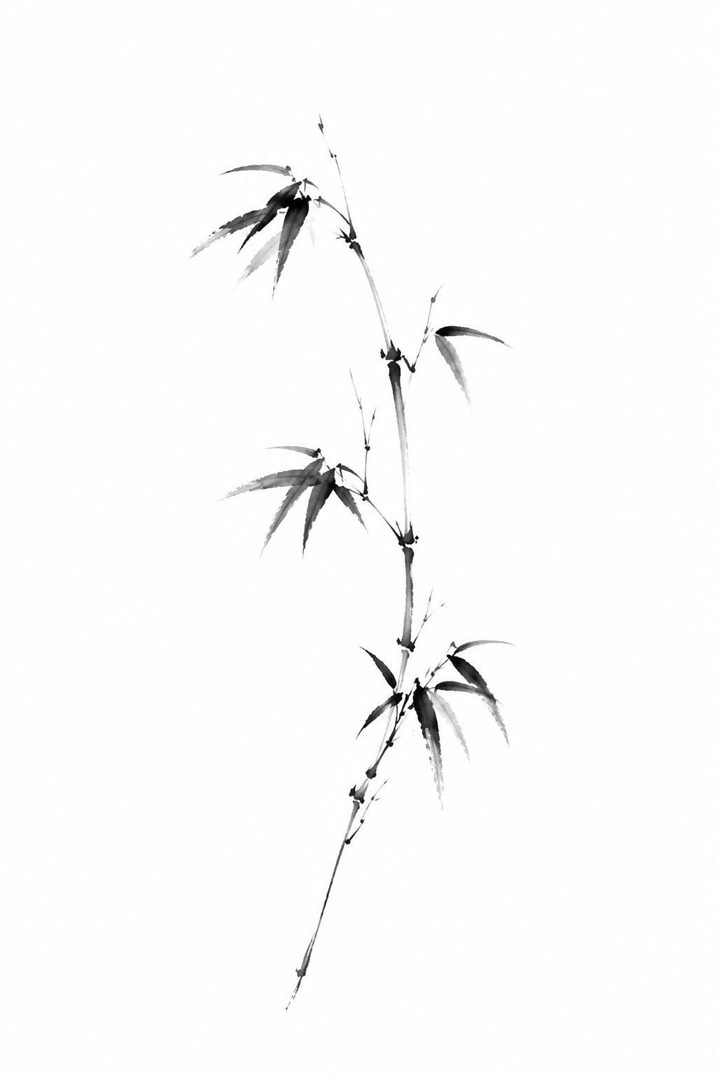 Ink wash bamboo