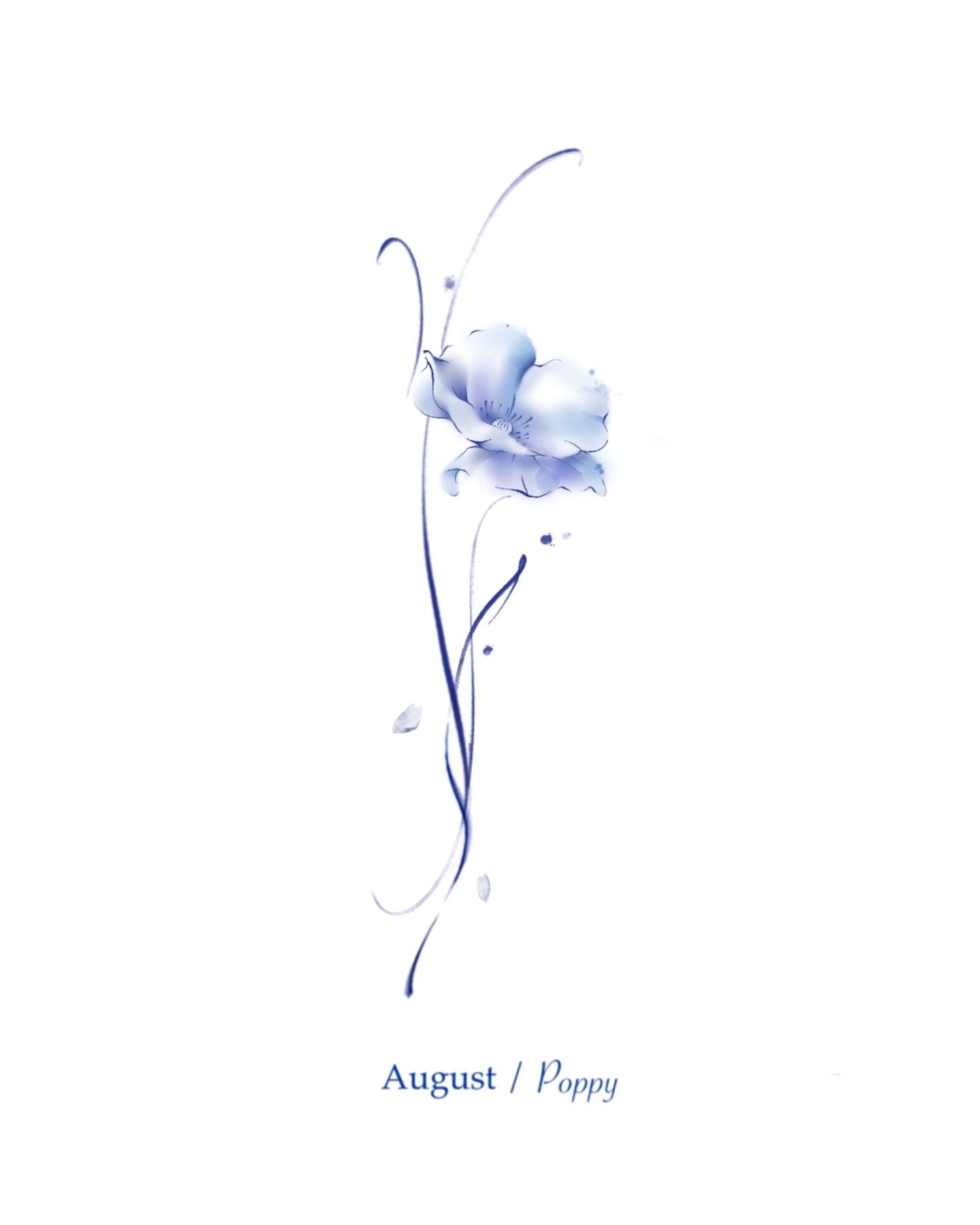 Kandi Aug.poppy