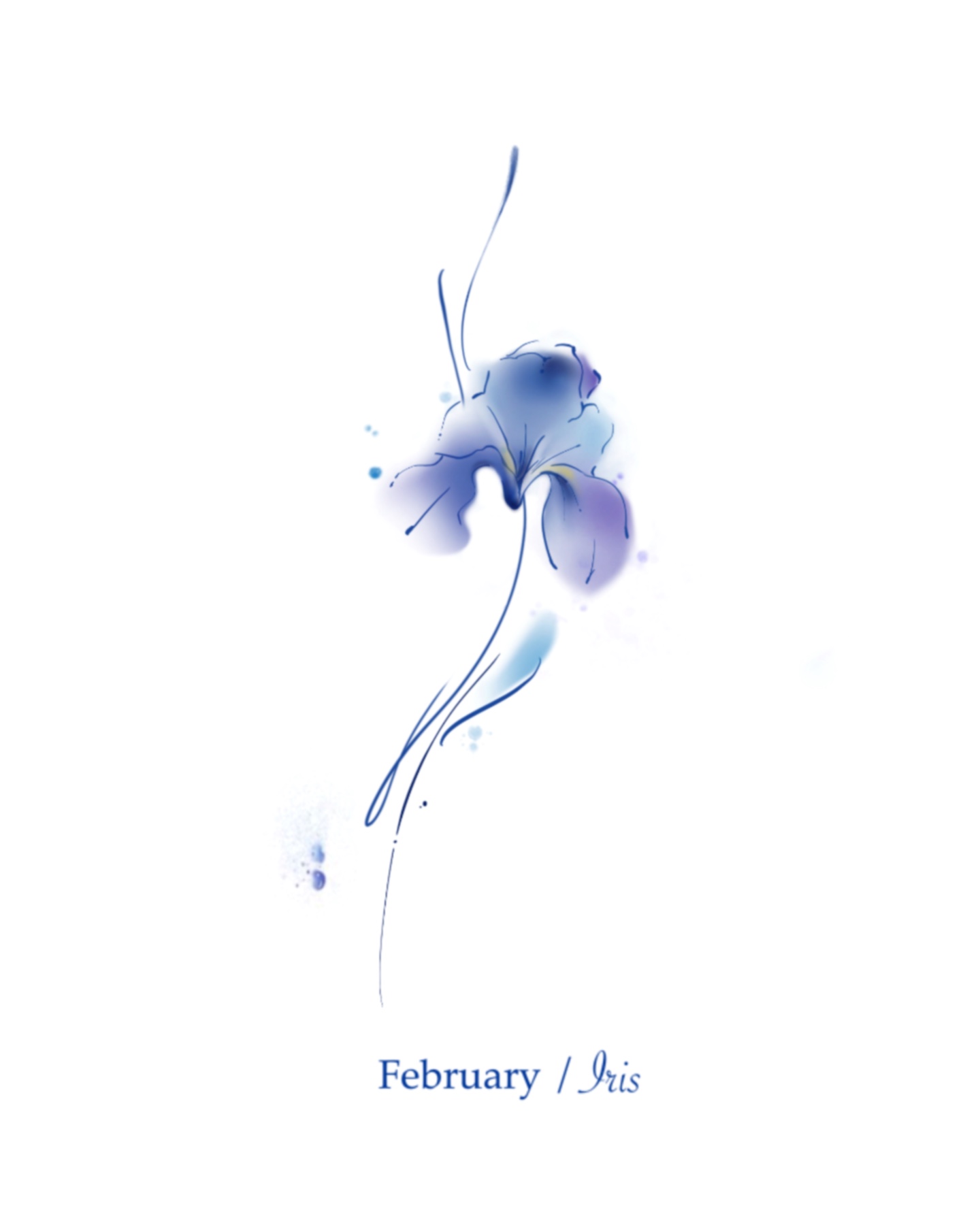 Kandi Feb.iris