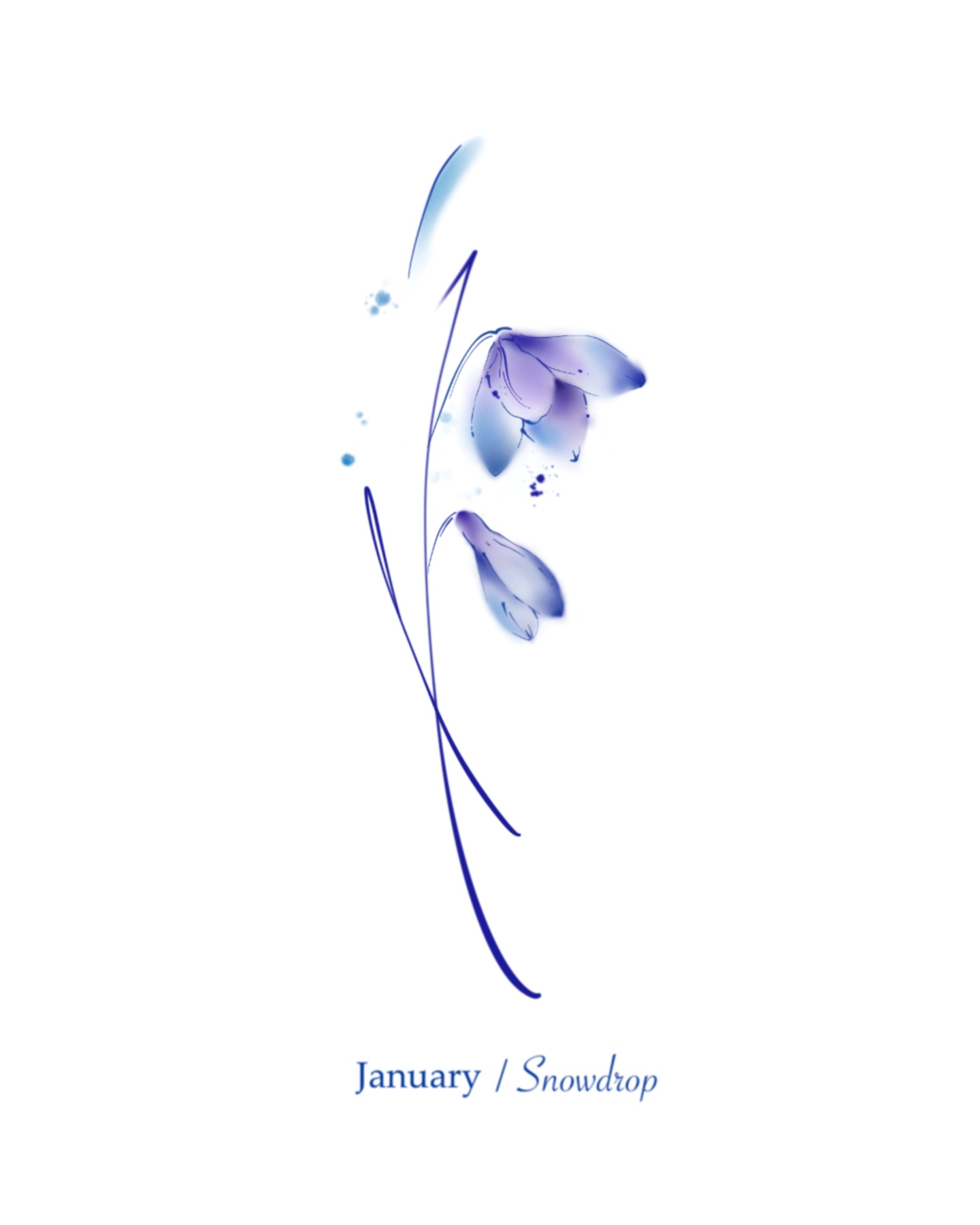 Kandi Jan.snowdrop