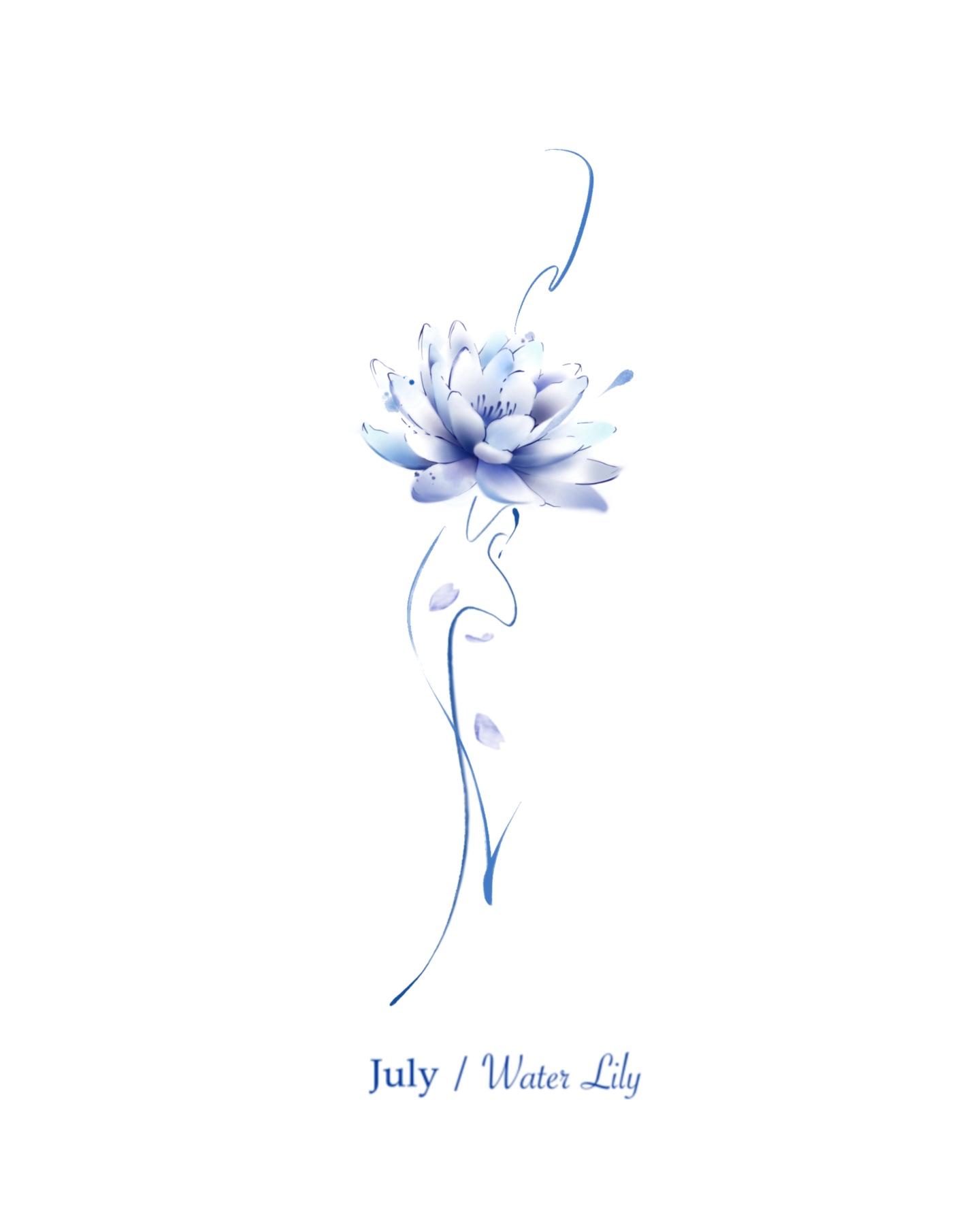 Kandi July.waterlily