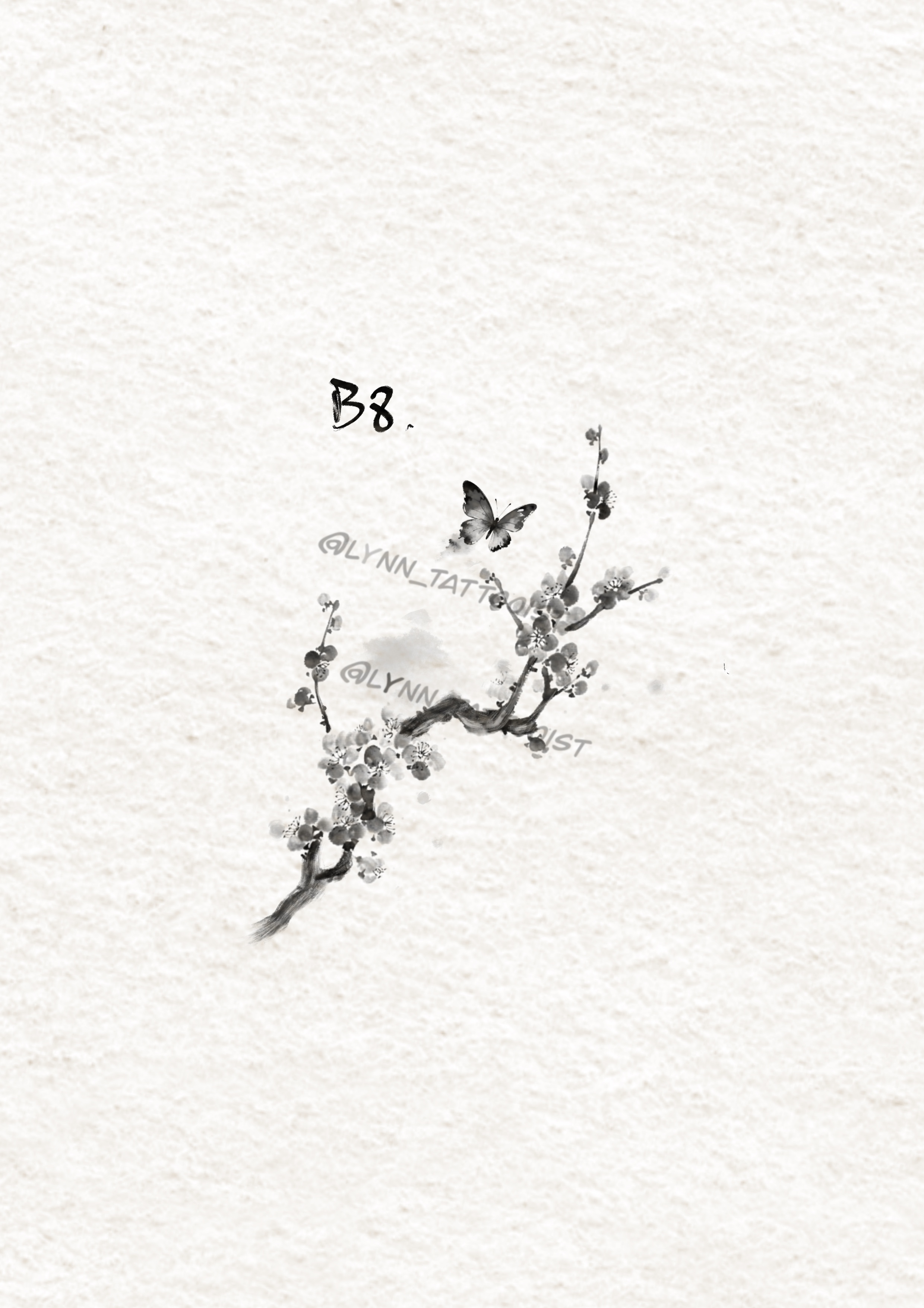 Lynn B8