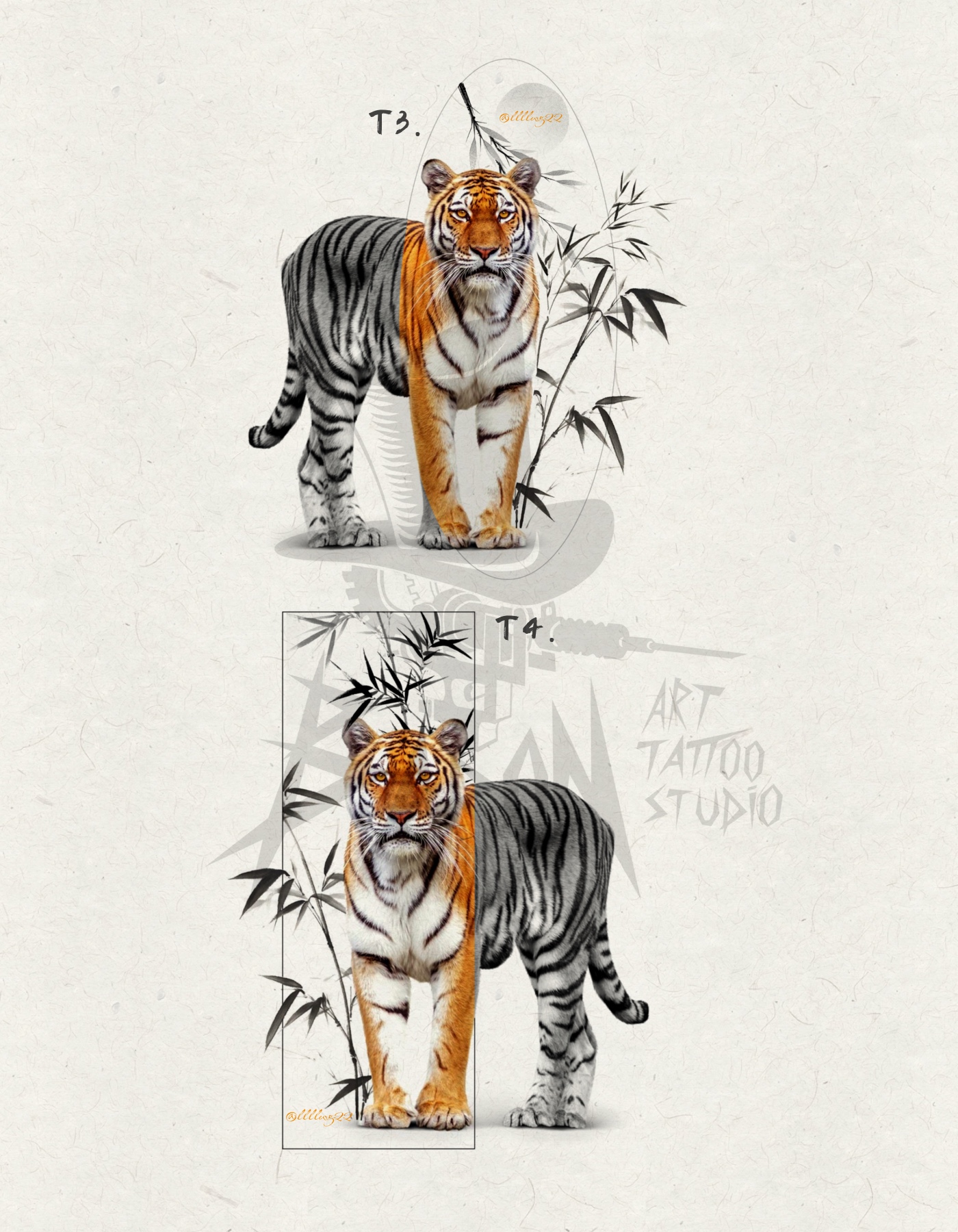 Peko Tiger 1