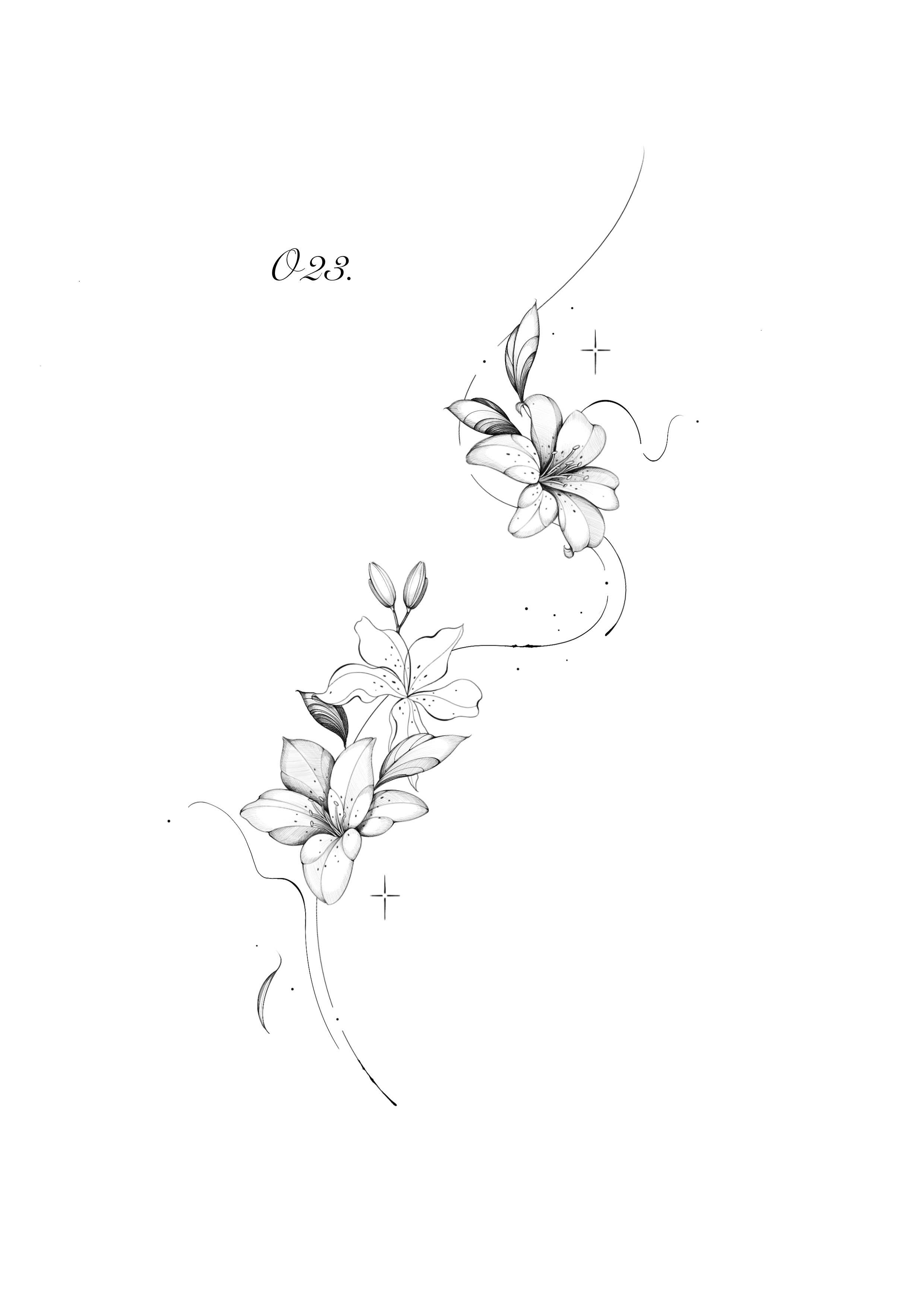 O23. flow lily