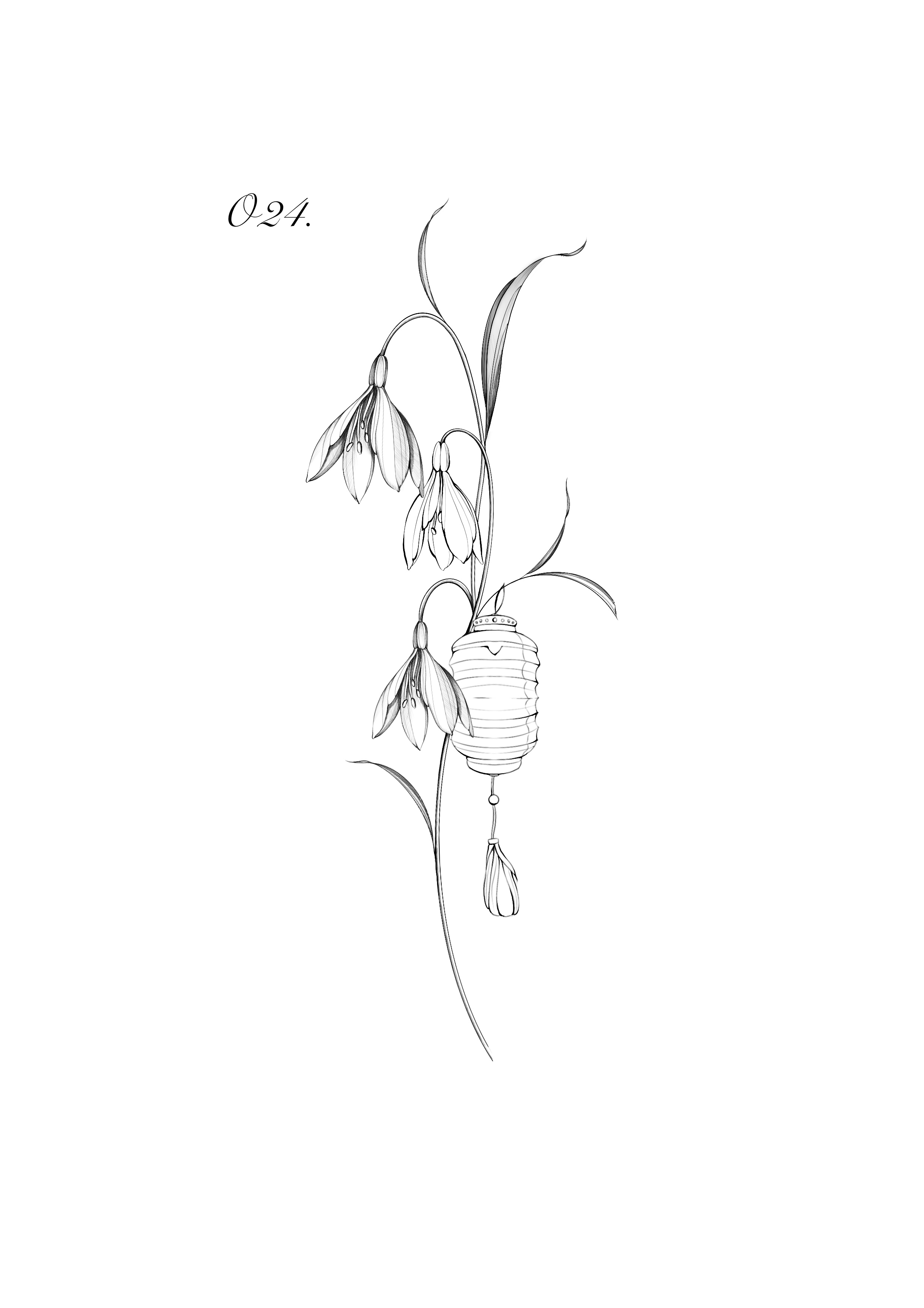 O24 snowdrop